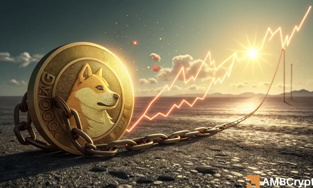 Dogecoin（Doge）看到鲸鱼累积了600m硬币，价格上涨了46％